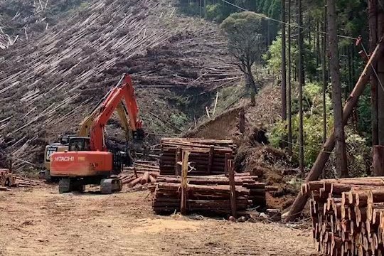 造材・丸太搬出