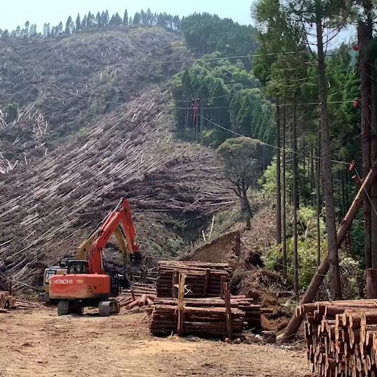 丸雄林業 施工事例写真